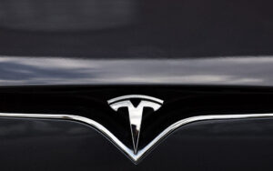 Tesla Logo Body